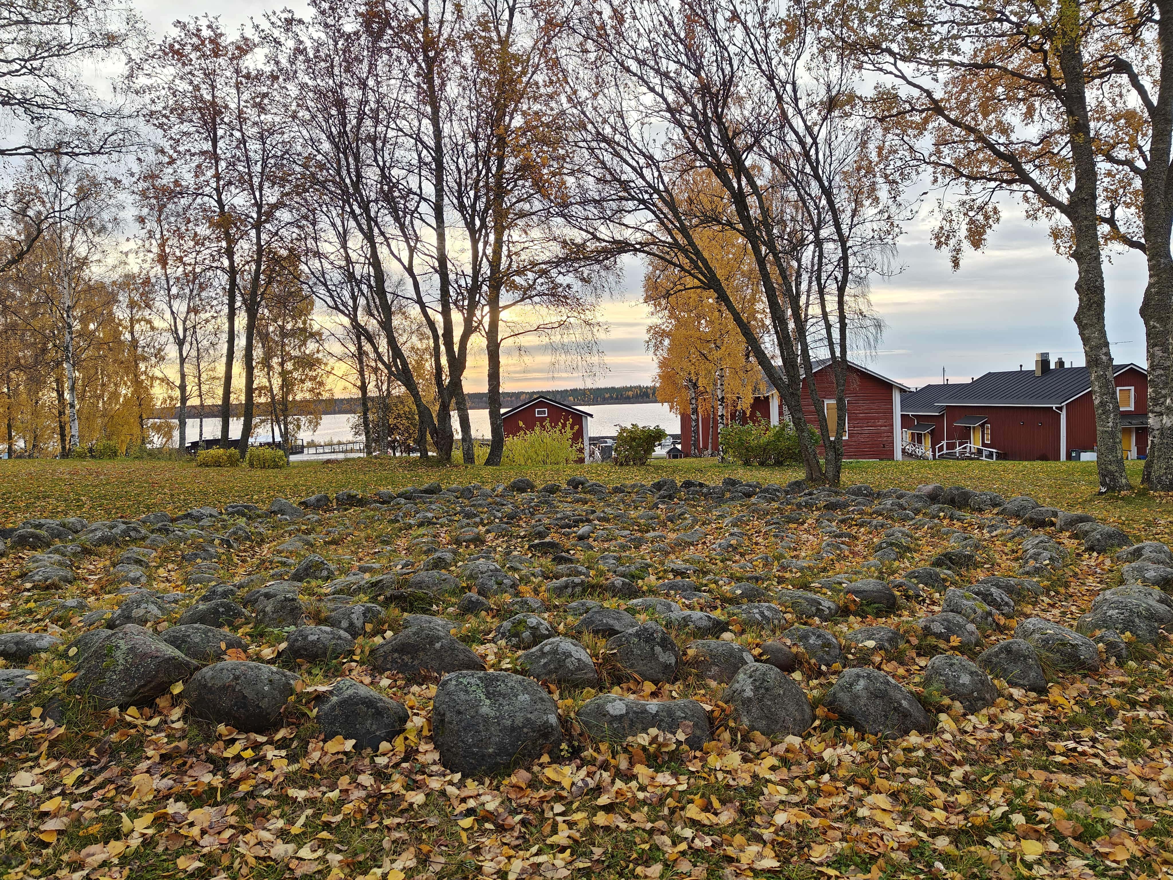 Kuva lähiruokakaupasta